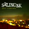 Salıncak - Şehir İkimizindi - Single